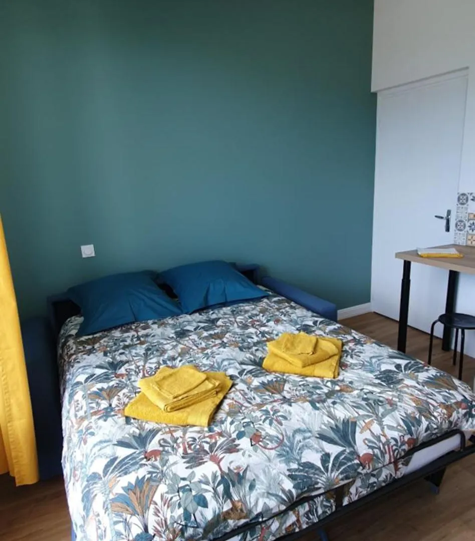 Appartamento Studio 28 M2 L'Albion Le 55 Centre-Ville, Avec Parking Et Piscine Francia